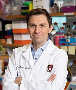 David Sinclair Supplement Protocol in 2026 — What He Takes and What the Science Says