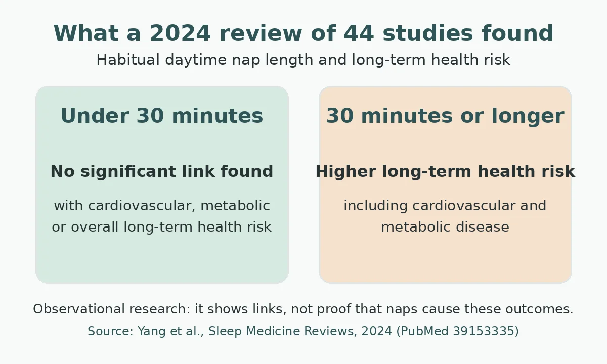 Two-panel chart from a 2024 review of 44 cohort studies: habitual naps under 30 minutes showed no significant link with cardiovascular, metabolic or overall long-term health risk, while naps of 30 minutes or longer were linked with higher long-term health risk